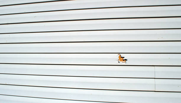 Trusted Ogdensburg, NJ Siding Installation & Repair Experts