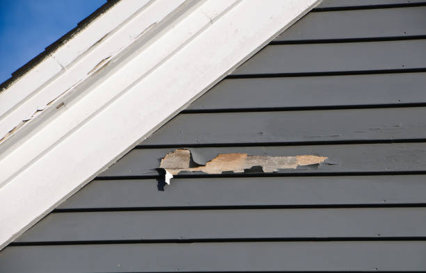 Best Custom Siding Design  in Ogdensburg, NJ
