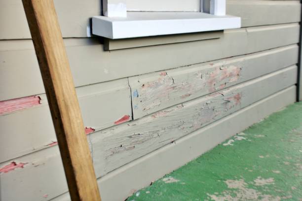 Best Siding Painting and Refinishing  in Ogdensburg, NJ